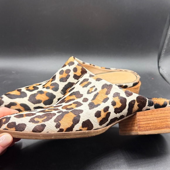 Able Mules - Picture 5 of 8